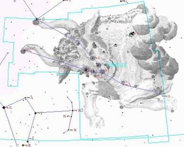 Созвездие ТЕЛЬЦА