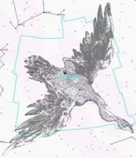 Созвездие ЛЕБЕДЬ