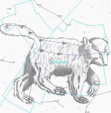 Созвездие БОЛЬШОЙ МЕДВЕДИЦЫ