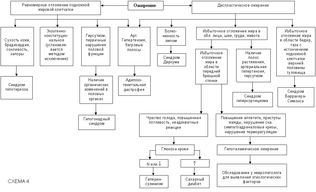 Реферат: Ожирение. Снижение веса