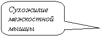 Скругленная прямоугольная выноска: Сухожилие межкостной мышцы