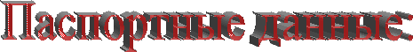 Паспортные данные: