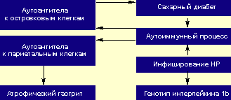 Патогенетические механизмы, связанные с НР, при сахарном диабете 1-го типа 