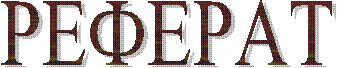 РЕФЕРАТ
