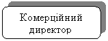 Скругленный прямоугольник: Комерційний директор