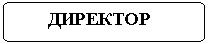 Блок-схема: альтернативный процесс:        ДИРЕКТОР

