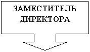 Выноска со стрелкой вниз: ЗАМЕСТИТЕЛЬ ДИРЕКТОРА