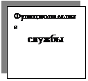 Подпись: Функциональные
службы
