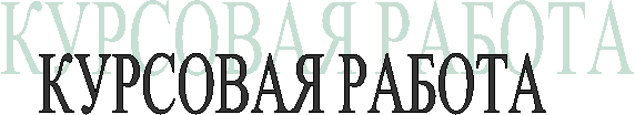 КУРСОВАЯ РАБОТА        