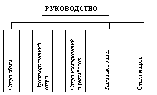 Функциональная организация 