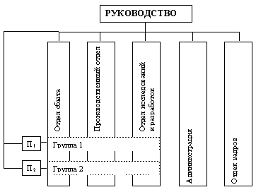 Функциональная организация с продуктовыми группами 