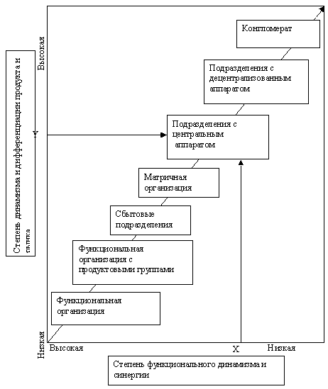 Процесс выбора организационной форм