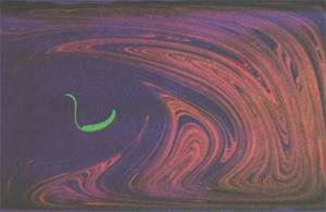 После 10 периодов красная капля вытянулась и многократно изогнулась, образовав складки: она попала в область хаотического перемешивания. Зеленая капля лишь несколько вытянулась — это «остров» нехаотического перемешивания