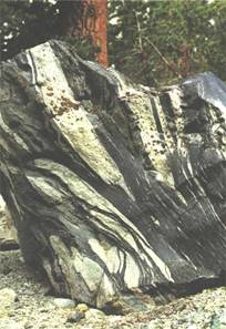 ПОЛОСЧАТОСТЬ