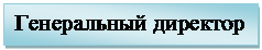 Подпись: Генеральный директор