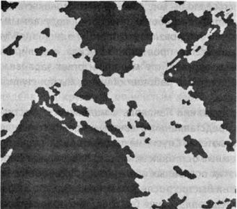 Смоделированная на компьютере Вселенная с вечной инфляцией. Островные вселенные (темные) на фоне инфляционно раздувающегося ложного вакуума (светлого). Более крупные островные вселенные — самые старые: у них было больше времени для роста.