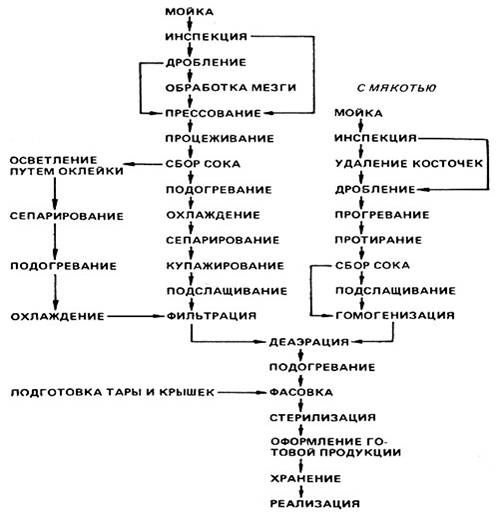 Технологические схемы производства плодово-ягодных соков натуральные, осветленные, купажированные, с сахаром