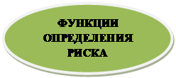 Овал: ФУНКЦИИ ОПРЕДЕЛЕНИЯ                  РИСКА