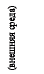 Подпись: (внешняя среда)