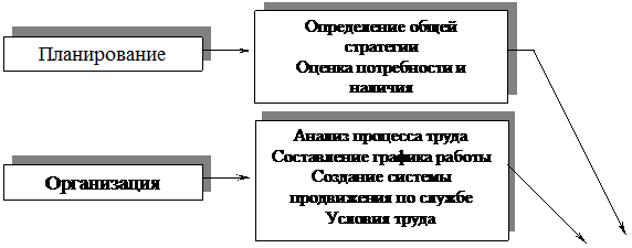 Подпись: Определение общей стратегии
Оценка потребности и наличия
,Подпись: Анализ процесса труда
Составление графика работы
Создание системы продвижения по службе
Условия труда
