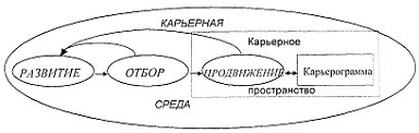 Карьерный рост. Карьерное пространство это. Горизонтальная и вертикальная карьеры. Вертикальная и горизонтальная карьера. Карьера презентация.