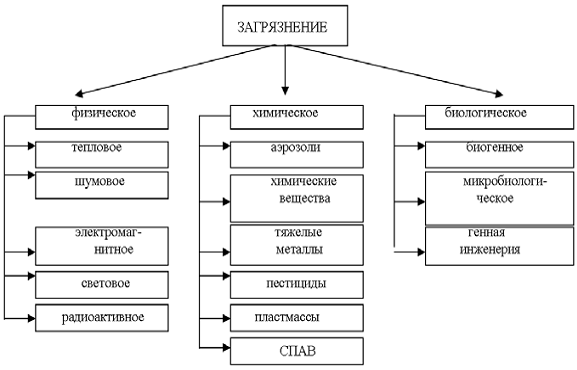 Реферат: Загрязнения 2