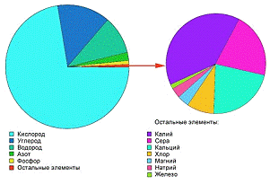 Реферат: Р-элементы. Сера