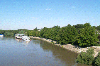  Отчет по практике по теме Разработка экскурсионного маршрута 'Днестр - наша благодатная река'