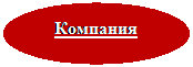 Овал: Компания