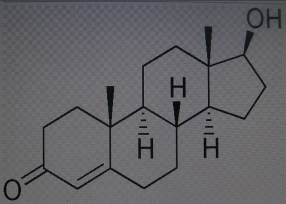 Реферат: Тестостерон