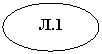 Овал: Л.1
