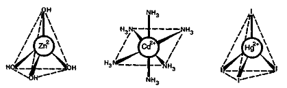 Доклад: Химико-аналитические свойства ионов d-элементов