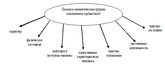 Дипломная работа: Фразеосемантическое поле с компонентом соматизм в английском и русском языках (сопоставительный анализ)