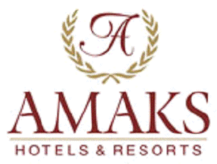 Курсовая работа по теме Организация деятельности гостиницы 'АМАКС'