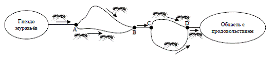 Дипломная работа по теме Использование алгоритма муравья для решения задачи коммивояжера