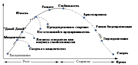 Реферат: Жизненный цикл организации 3