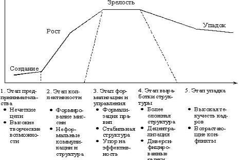 Курсовая работа по теме Жизненные стадии и циклы организации