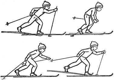 Курсовая работа: Техника лыжников