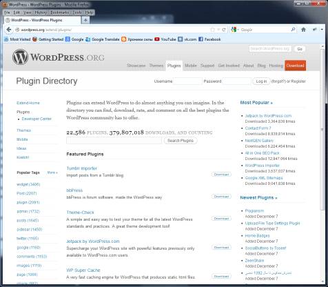 Курсовая Работа Разработка Сайта На WordPress