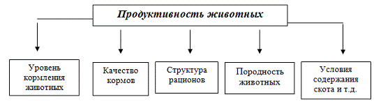 Факторы влияющие на мясную продуктивность овец. Порода крупного рогатого скота мясного направления продуктивности. Показатели продуктивности животных. Показатели мясной продуктивности. Селекция коров презентация.