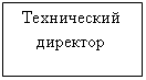 Подпись: Технический директор