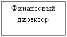 Подпись: Финансовый директор