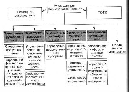 Курсовая работа по теме Казначейская система исполнения бюджета в РФ
