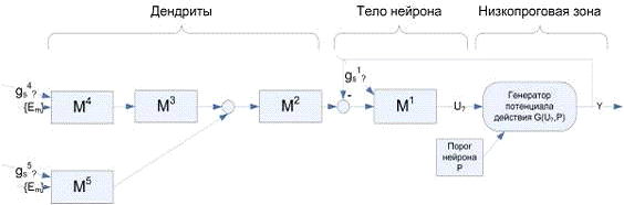 Реферат по теме Нейроподобный элемент (нейрон) Реферат по теме Нейроподобный элемент (нейрон)