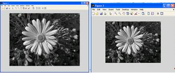 Курсовая работа по теме Перетворення цифрових зображень в середовищі Matlab