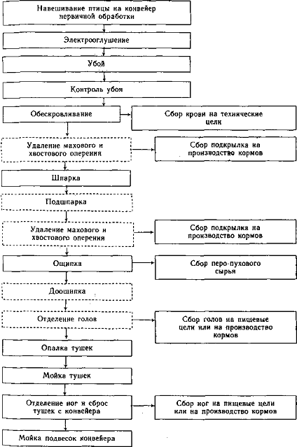 Курсовая работа: Санитарно-гигиенические требования к инкубации яиц