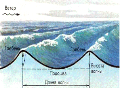 Реферат: Геологическая работа моря