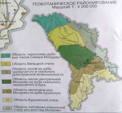 Курсовая работа по теме Чернозёмы карбонатные в Молдавии