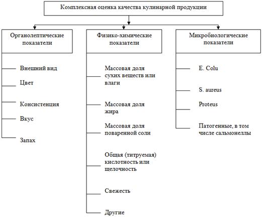 Курсовая работа по теме Технологический процесс приготовления 'Борща украинского'