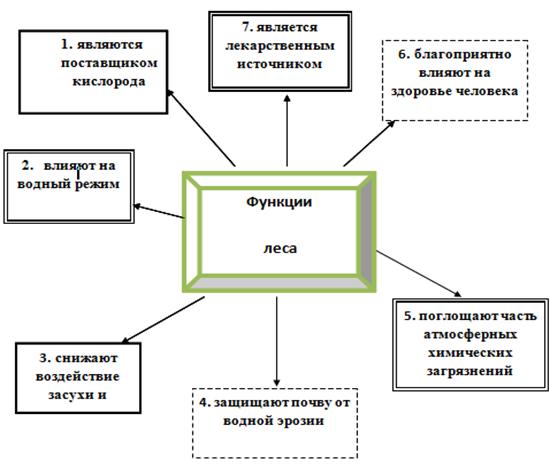 Экологические функции лесов. Какие функции выполняет лес. Классификация рубок леса. Функции выполняемые лесами. Основные функции лесов.